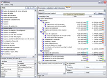 XBRL Report Editor